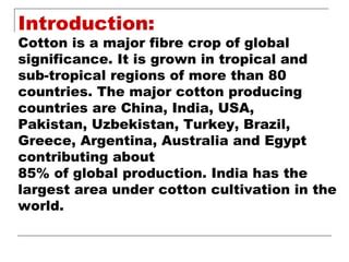 Cotton Hybrid Seed Production Ppt