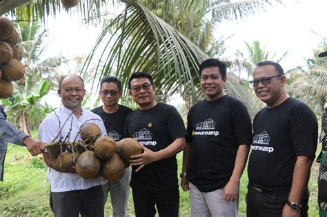 World Coconut Day Atau Hari Kelapa Sedunia Diperingati Tiap Tanggal 2