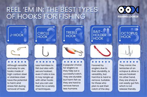 Best Types of Hooks for Fishing | Fishing Looker