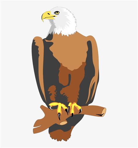 Bird 28 Free Vector Animated Eagle 443x800 Png Download Pngkit