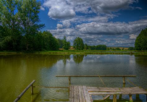 Fotos Gratis Paisaje Rbol Naturaleza Pantano Nube Ma Ana Lago