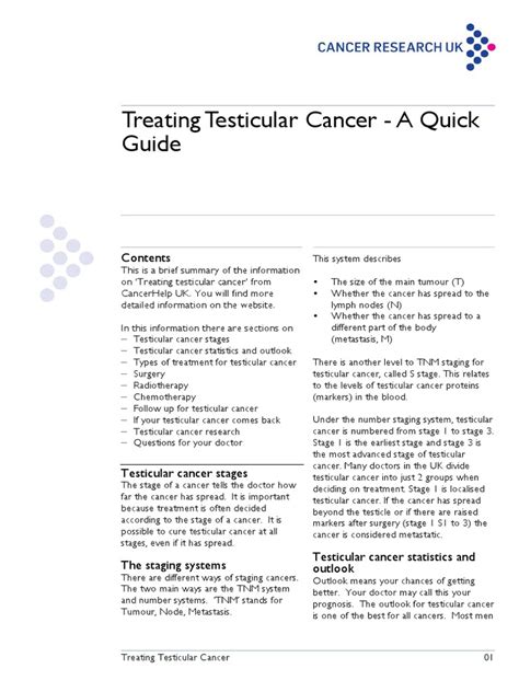 Pdf Treating Testicular Cancer A Quick Guide Dokumen Tips