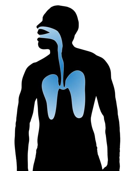 Ifa Praxishilfen Kss Portal Inhalative Gef Hrdungen