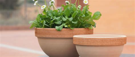 Jardín con macetas y jardineras de terracota Discomgrup