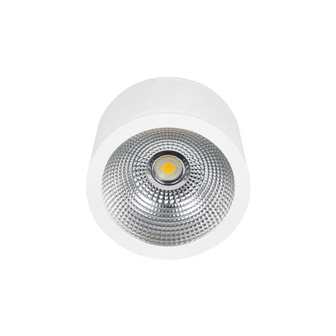 W Lm Cree Cob Surface Mounted Led Downlight China Surface