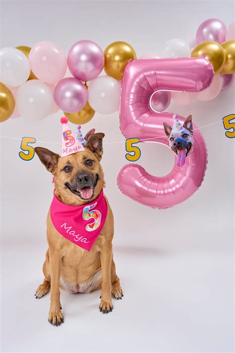 Happy PartyAnimal Customers!