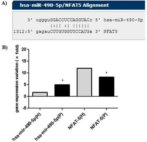 Mir P Targets Nfat And Influences Nfat Downstream Factors