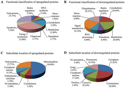 Functional Classification And Subcellular Locations Of Differentially