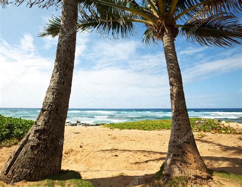 Beach on Hawaii Stock Photo by ©kamchatka 5748293