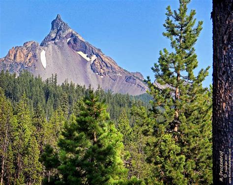 Mt Thielsen Umpqua National Forest Oregon Mount Thielse Flickr