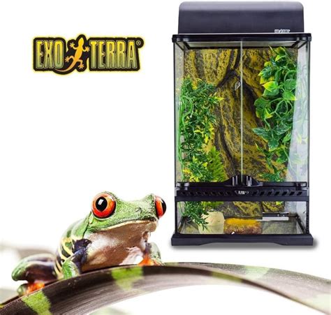 Exo Terra Rainforest Habitat Kit Incluye Pt2602 Pequeño