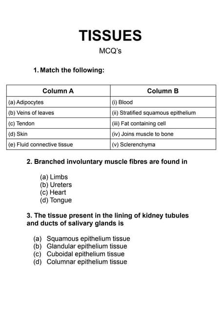 Class 9 Tissues Mcqs Pdf