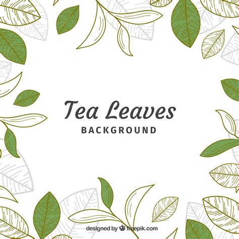 Tea Leaf Vector Free Download