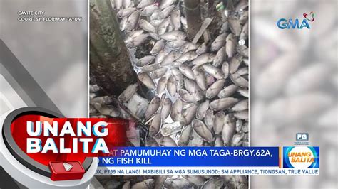 Kabuhayan At Pamumuhay Ng Mga Taga Brgy 62A Apektado Ng Fish Kill