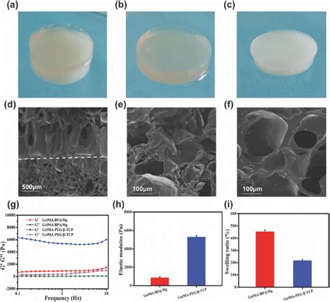 Characterizing The Gelma Bp Mg And Gelma Peg β Tcp Hydrogel Scaffolds Download Scientific