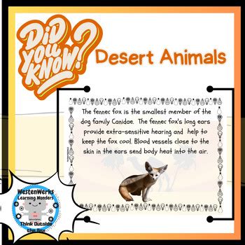 Desert Animals - Did You Know Facts Bulletin Board Enrichment Microlearning