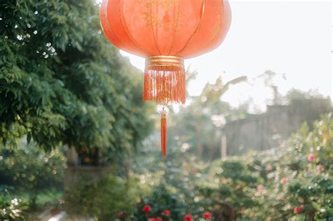 Tet Lantern - Free photo on Pixabay - Pixabay