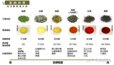 茶叶入门级知识学习 知乎