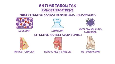 Antimetabolites Nursing Pharmacology Osmosis Video Library