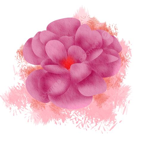 Linda Flor Rosa Com Cor De Respingo Png Rosa Flor Lindo Imagem Png