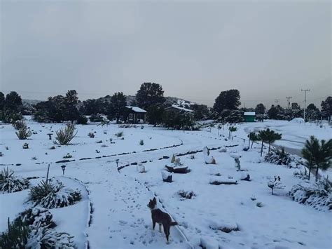 La Rumorosa amanece cubierta de nieve | TJNoticias