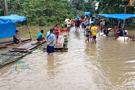 Dampak Banjir Konawe Ratusan Hektar Sawah Terendam Dan Kebun Merica