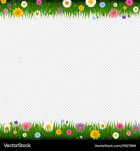 Grass and flowers border transparent background Vector Image