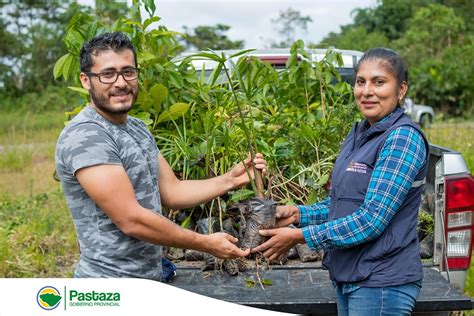 Pastaza Gad provincial entrega 275 plantas para mitigación Noti Amazonía