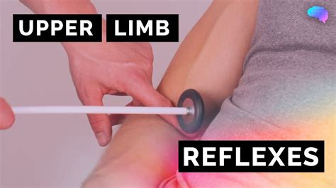 Reflexes Of The Lower Limbs Osce Clip Ukmla Cpsa Youtube Clip