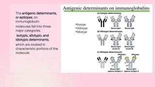 Antigenic determinants | PPT