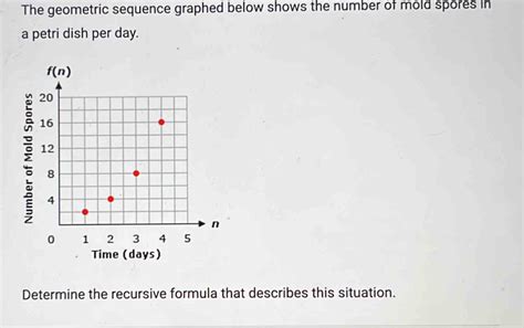 The Geometric Sequence Graphed Below Shows The Number Of Mold Spores In