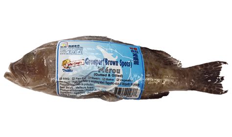 Steamed Brown Grouper Searay Foods Inc