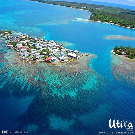 Tuesday Vibes from Utila, Bay Islands in Honduras. When you visit this ...