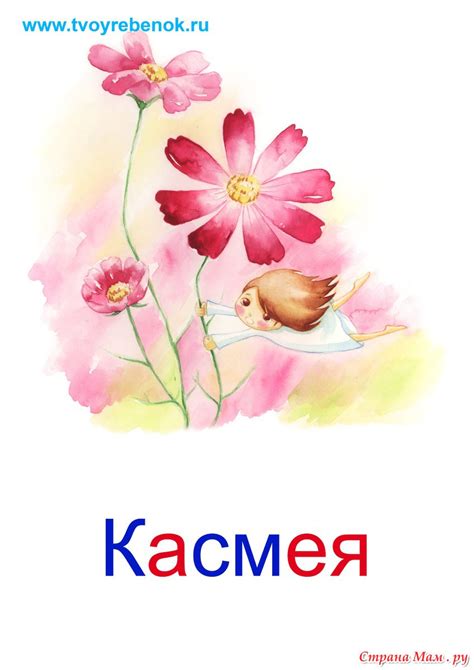 Карточки Глена Домана на тему "Цветы". - Страна Мам