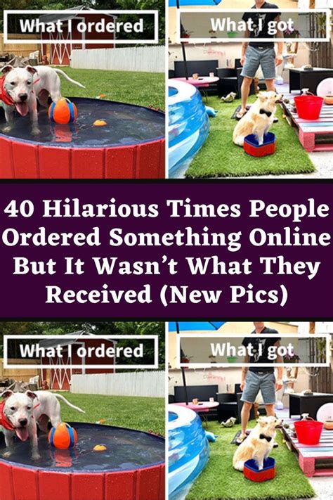 Hilarious Times People Ordered Something Online But It Wasnt What