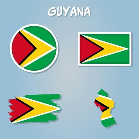 Mapa De La Bandera De Guyana Vector Aislado Icono De Ilustraci N 58176