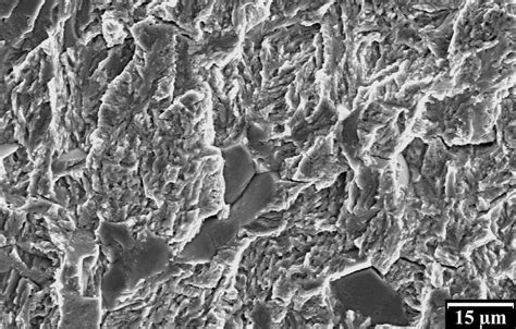 Intergranular Facets On Fracture Surface Of Specimen Fatigued In B