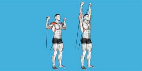 Cable Curls For Strengthening And Growing Your Biceps A Lean Life