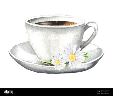 Hand Drawn Watercolor Illustration Of Cup And Flowers Chamomile On A