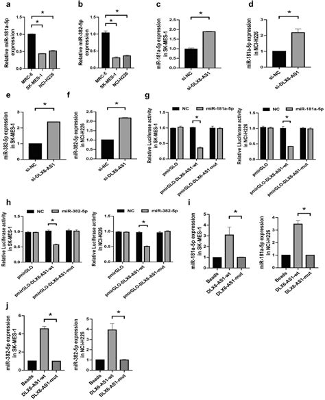 DLX6 AS1 Negatively Regulated The Expression Of MiR 181a 5p And