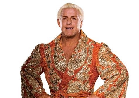 Ric Flair Wwe