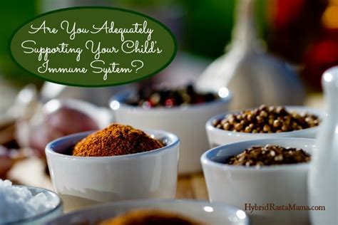 Support Seasonal Wellness With Immune Boosting Herbs Hybrid Rasta Mama