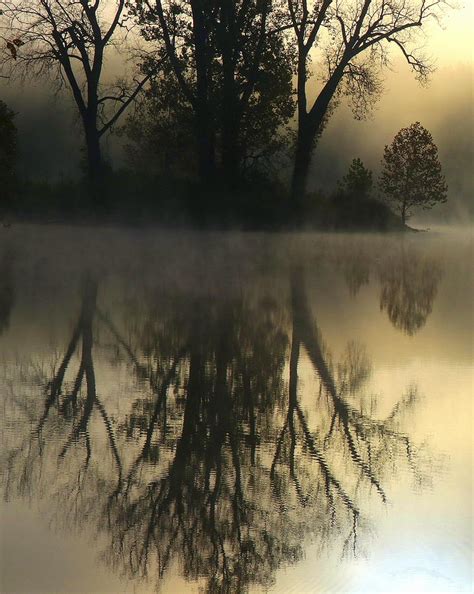 Golden Morning Photograph By Tom Strutz Fine Art America