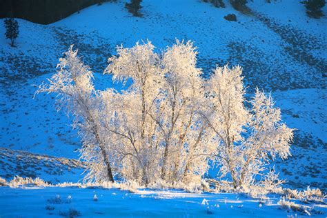 Yellowstone National Park Winter — Slonina Nature Photography