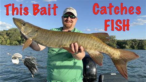 How To Catch Summer Muskies On Bucktails Youtube