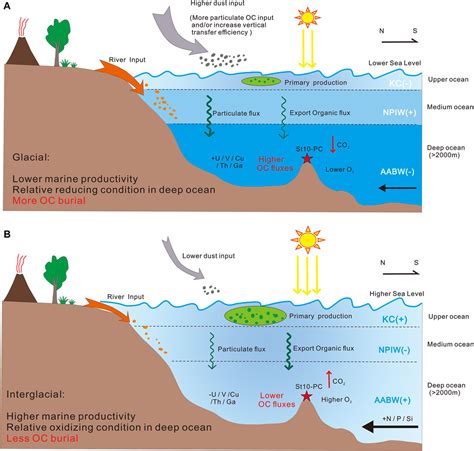 Frontiers Glacial Interglacial Variations In Organic Carbon Burial In