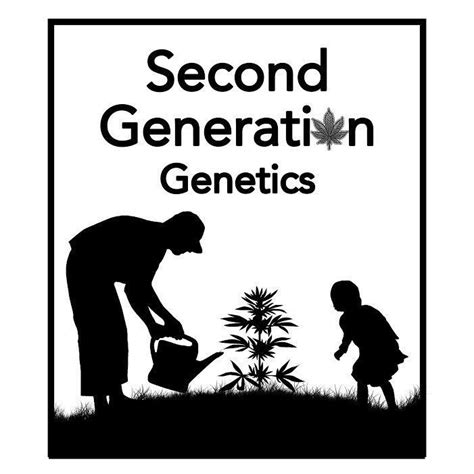 generation genetics
