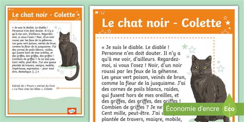 Le chat noir - Colette (Hecho por educadores) - Twinkl