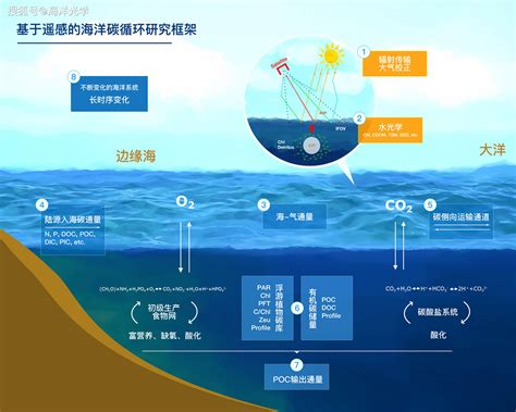 碳循环遥感主要研究内容和科学问题 海洋 通量 全球