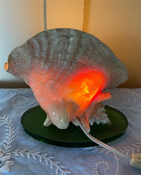 Vintage Conch Shell Lamp Vintage Seashell Light Beach House Etsy